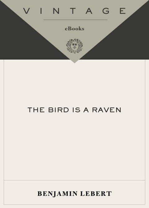 Book The Bird Is a Raven free
