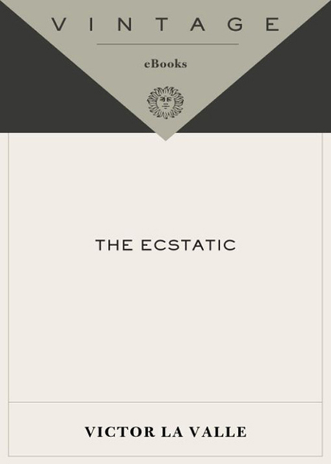 Book The Ecstatic free