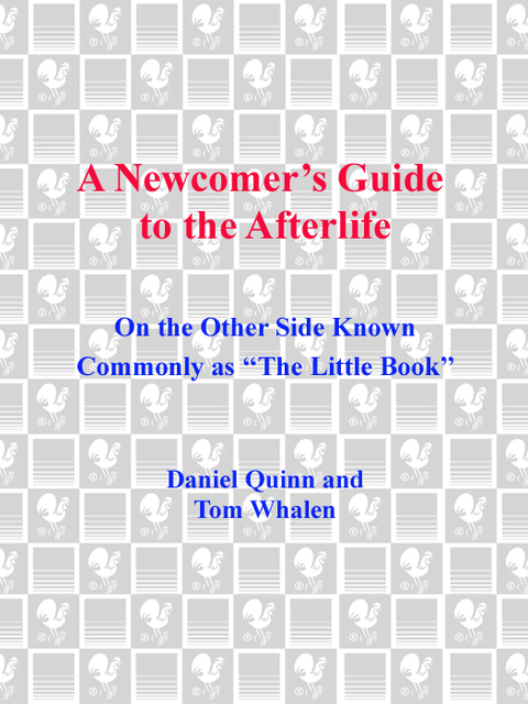 Book A Newcomer's Guide to the Afterlife: On the Other Side Known Commonly as The Little Book free
