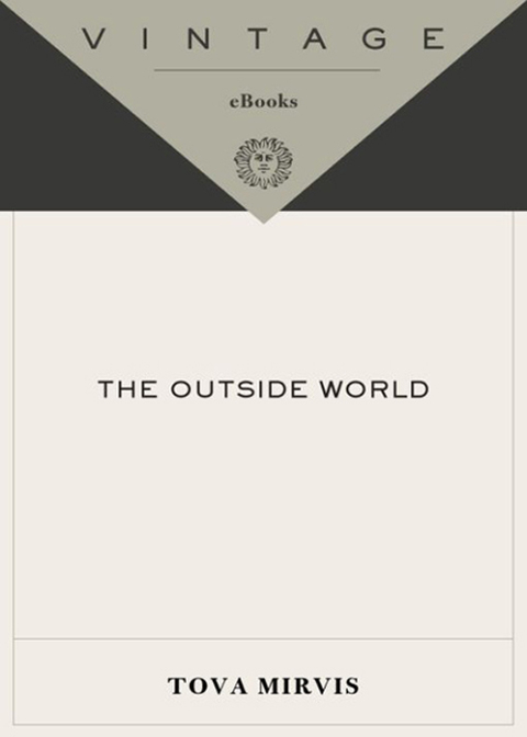 Book The Outside World (Vintage Contemporaries) free