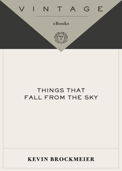 Book Things that Fall from the Sky (Vintage Contemporaries) free