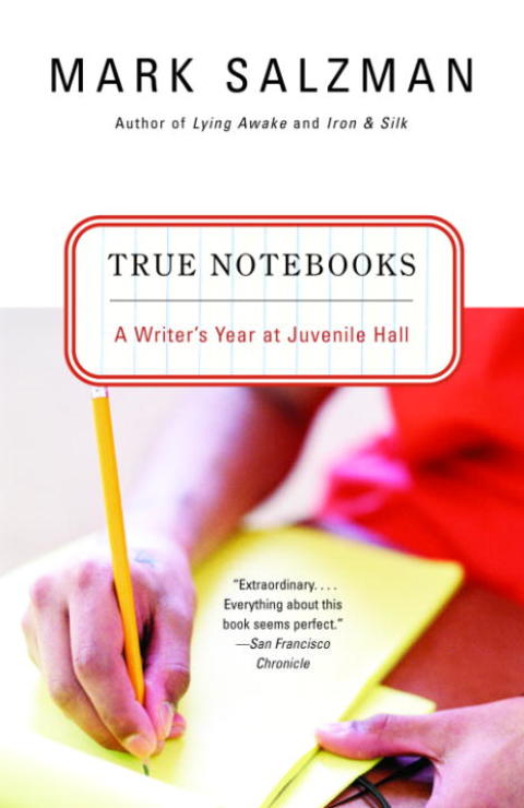 Book True Notebooks: A Writer's Year at Juvenile Hall free