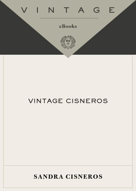 Book Vintage Cisneros free