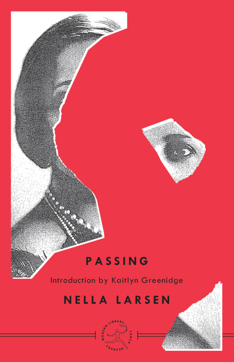Book Passing (Modern Library Torchbearers) free