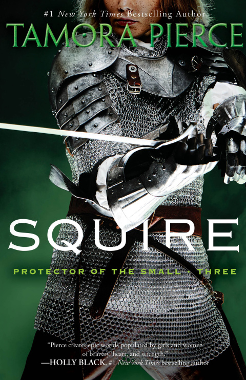 Book Squire: Book 3 of the Protector of the Small Quartet free