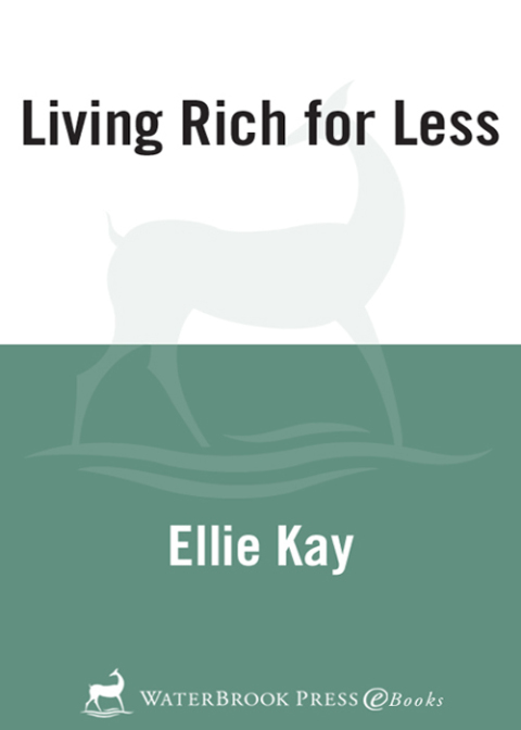 Book Living Rich for Less: Create the Lifestyle You Want by Giving, Saving, and Spending Smart free