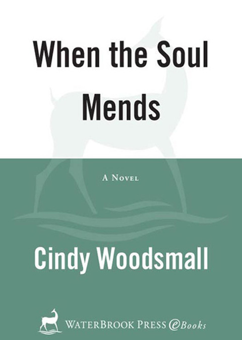 Book When the Soul Mends: Book 3 in the Sisters of the Quilt Amish Series free