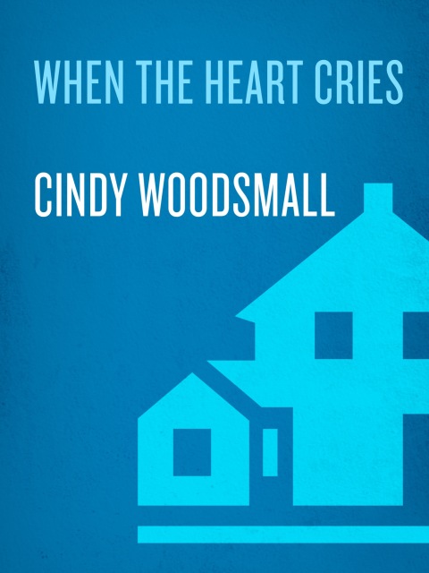 Book When the Heart Cries: Book 1 in the Sisters of the Quilt Amish Series free