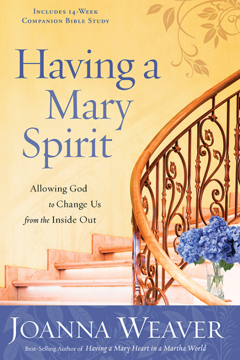 Book Having a Mary Spirit: Allowing God to Change Us from the Inside Out free