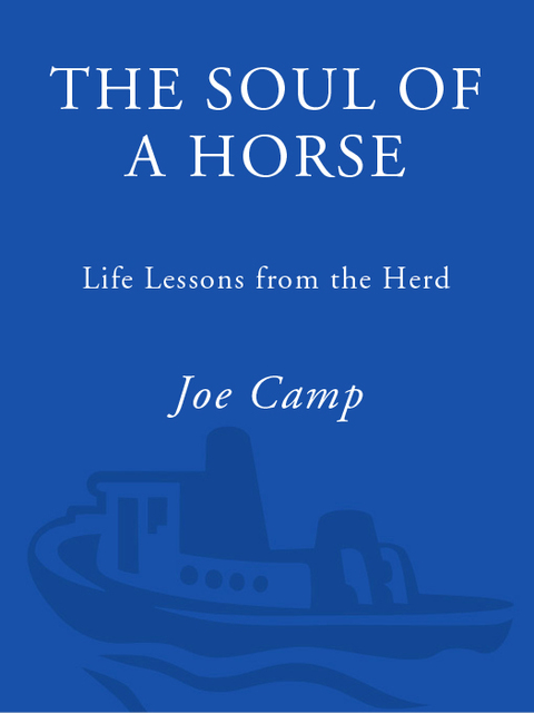 Book The Soul of a Horse: Life Lessons from the Herd free