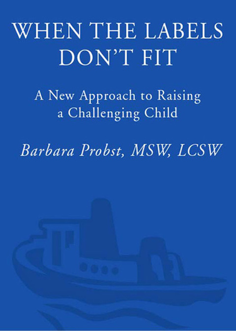 Book When the Labels Don't Fit: A New Approach to Raising a Challenging Child free