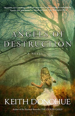 Book Angels of Destruction: A Novel free