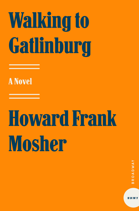 Book Walking to Gatlinburg: A Novel free