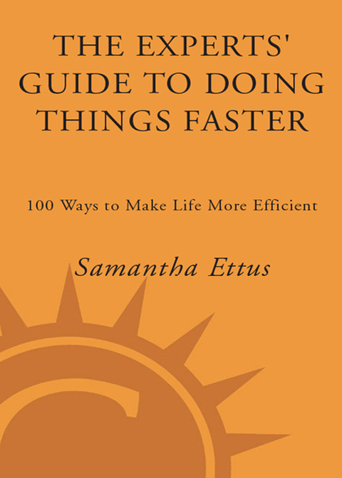 Book The Experts' Guide to Doing Things Faster free