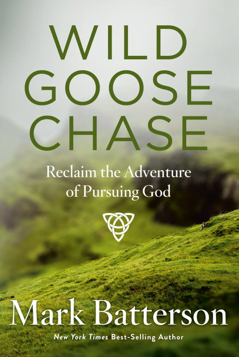 Book Wild Goose Chase free