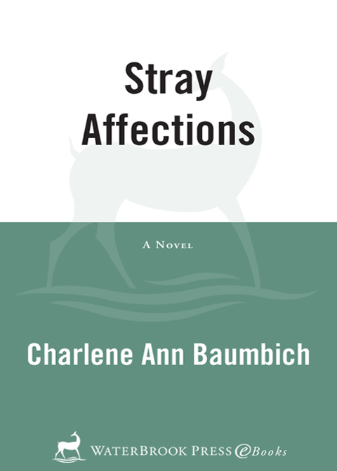 Book Stray Affections: A Novel (A Snowglobe Connections Novel Book 1) free
