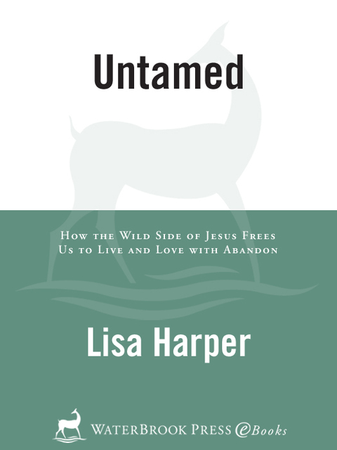 Book Fierce Jesus: Leaning into the Only One Strong Enough to Set Us Free free