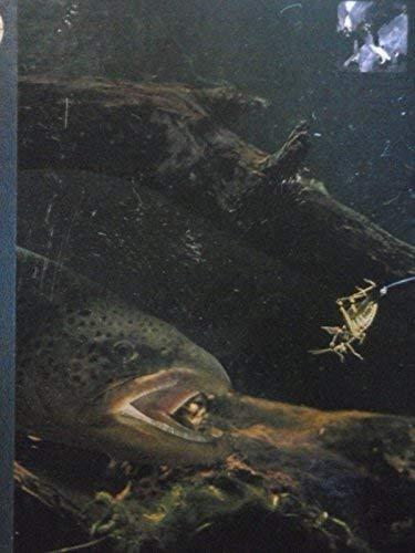 Book Fishing with live bait (The Hunting & fishing library) free