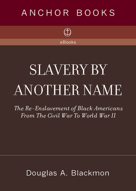 Book Slavery by Another Name: The Re-Enslavement of Black Americans from the Civil War to World War II free