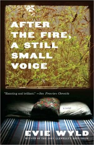 Book After the Fire, a Still Small Voice free