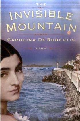 Book The Invisible Mountain free