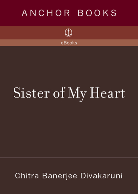 Book Sister of My Heart: A Novel free