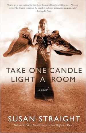 Book Take One Candle Light a Room: A Novel free