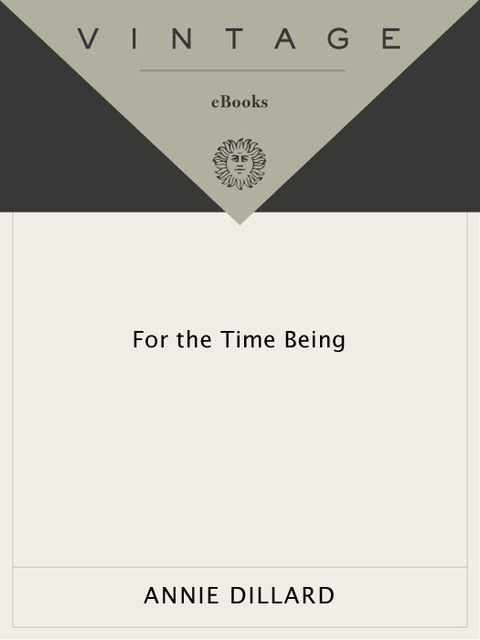 Book For the Time Being free