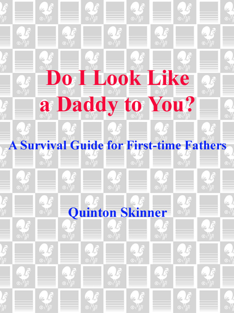 Book Do I Look Like a Daddy to You?: A Survival Guide for First-Time Fathers free