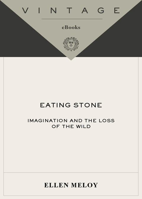 Book Eating Stone: Imagination and the Loss of the Wild free