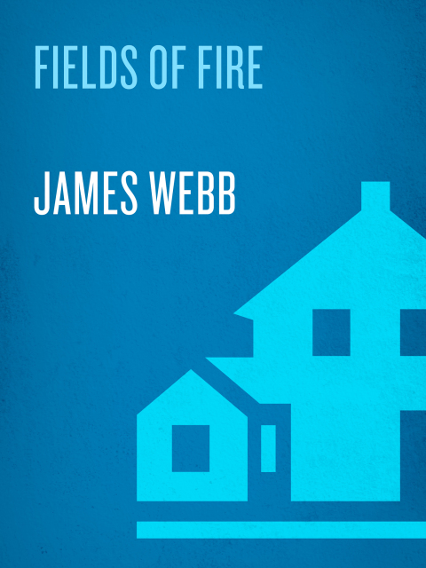 Book Fields of Fire: A Novel free