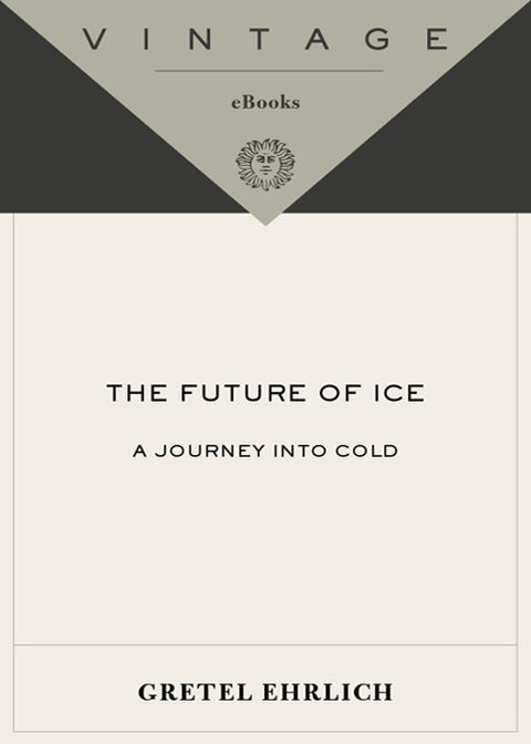 Book The Future of Ice free
