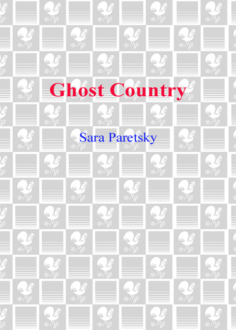 Book Ghost Country: A Novel free