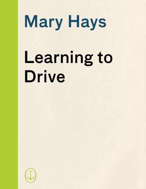 Book Learning to Drive free