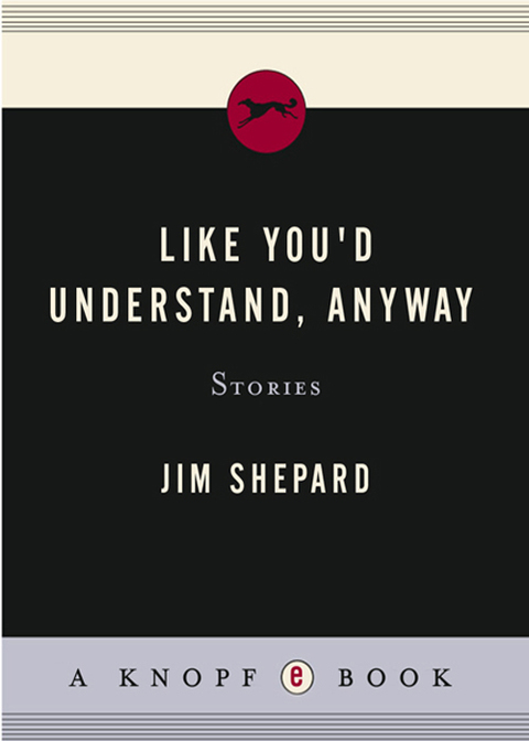 Book Like You'd Understand, Anyway: Stories (Vintage Contemporaries) free
