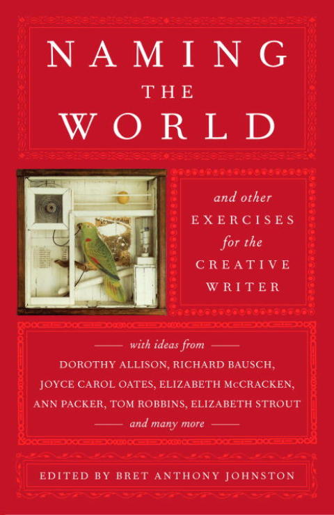 Book Naming the World: And Other Exercises for the Creative Writer free