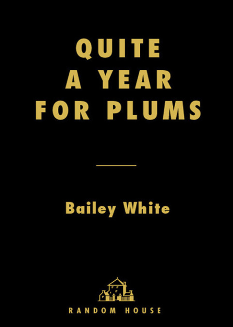 Book Quite a Year for Plums: A Novel free