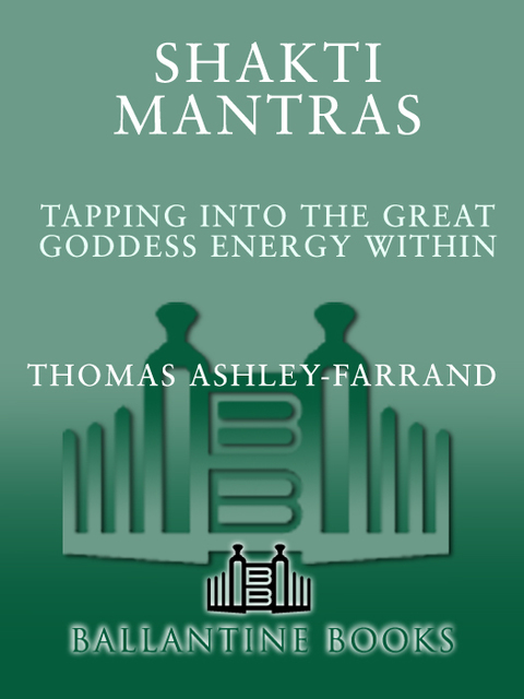 Book Shakti Mantras: Tapping into the Great Goddess Energy Within free