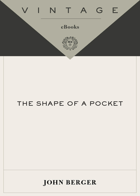 Book The Shape of a Pocket (Vintage International) free