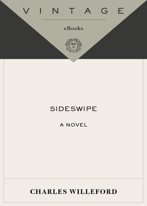 Book Sideswipe: A Hoke Moseley Detective Thriller (Hoke Moseley Detective Series Book 3) free
