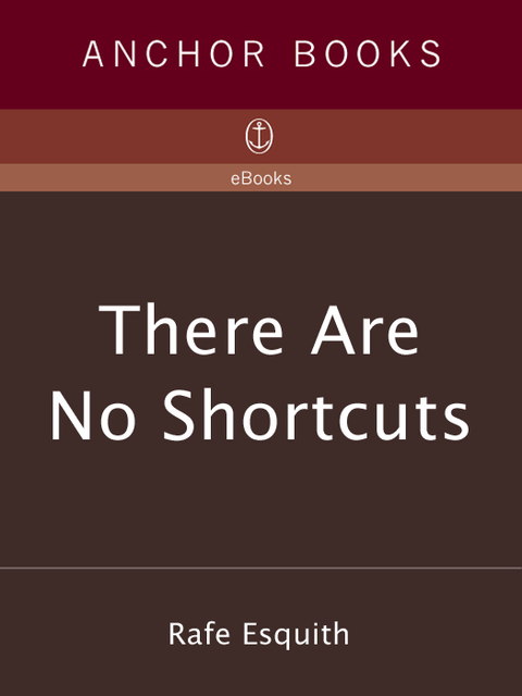 Book There Are No Shortcuts free