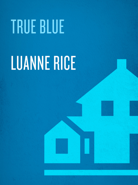 Book True Blue (Hubbard's Point/Black Hall Series Book 3) free