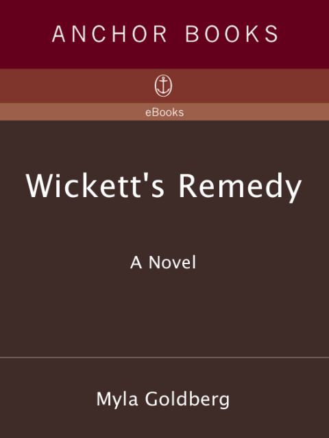 Book Wickett's Remedy: A Novel free