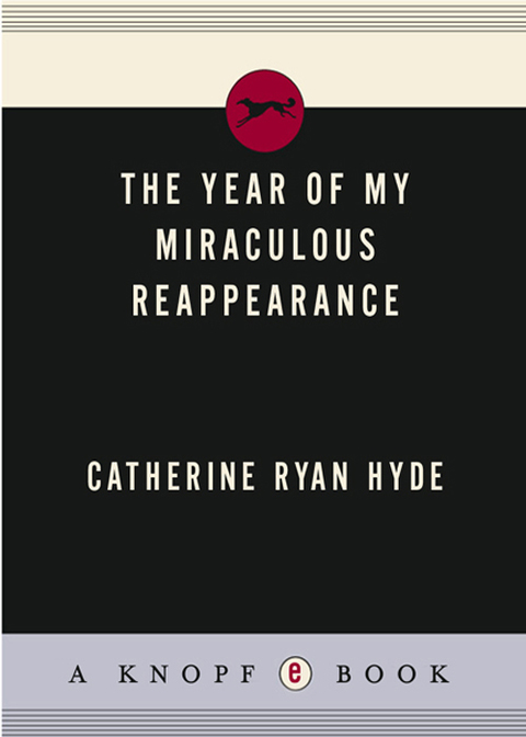 Book The Year of My Miraculous Reappearance free