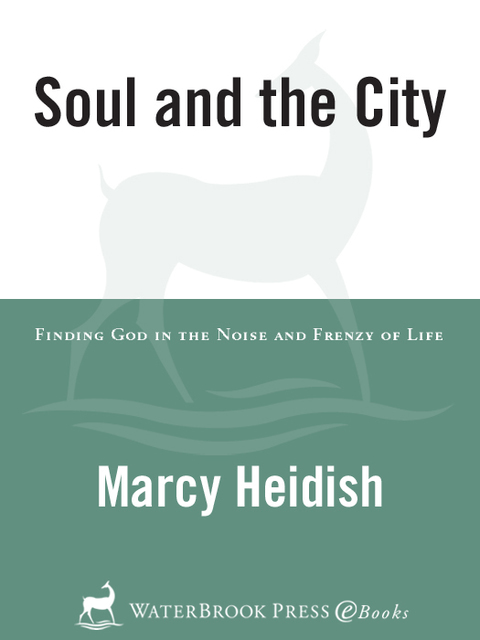 Book Soul and the City: Finding God in the Noise and Frenzy of Life free