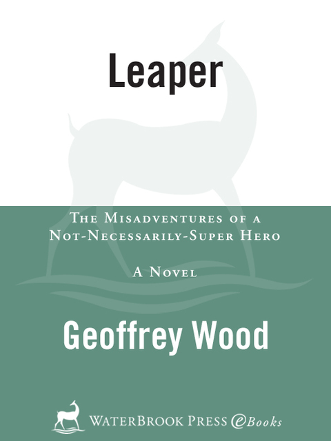 Book Leaper: The Misadventures of a Not-Necessarily-Super Hero free