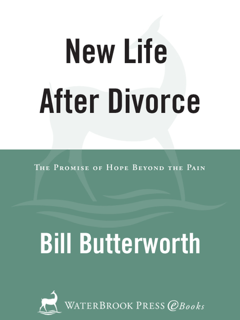 Book New Life After Divorce: The Promise of Hope Beyond the Pain free