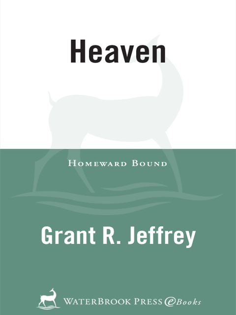 Book Heaven: The Mystery of Angels free