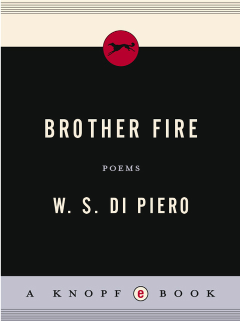Book Brother Fire: Poems free
