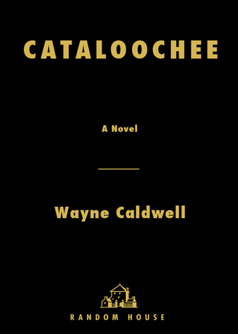 Book Cataloochee: A Novel free